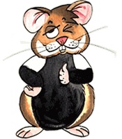 Hamster frei für Investitionen in Nordrhein-Westfalen!