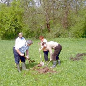 Landratskandidat Bernhard Hadel und die Bürgermeisterbewerber Marlies Strohschein, Marlies Sieburg und Ferdi Huck pflanzen Bäume