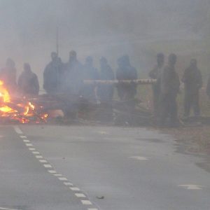 Brandbarrikaden im Hambacher Forst