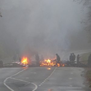 Brandbarrikaden im Hambacher Forst