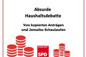 titelbild: Absurde Haushaltsdebatte